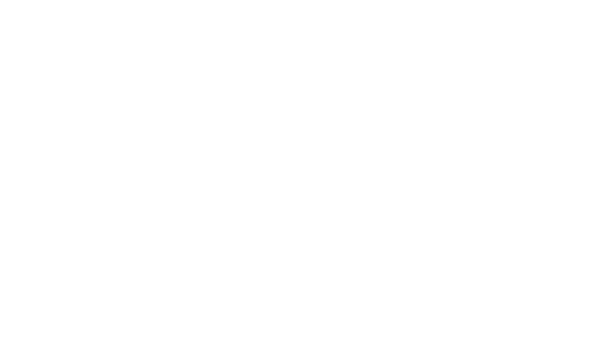logo iris invest white 2